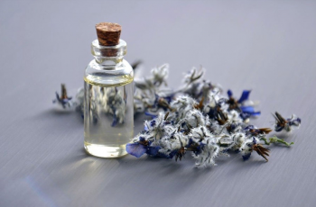 Borage Seed Oil in Skincare: Benefits, Uses, and Best Skin Types