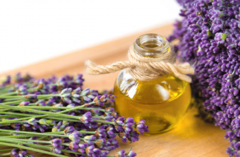 Lavender Oil Benefits and Risks: Essential Guide for Skin Care